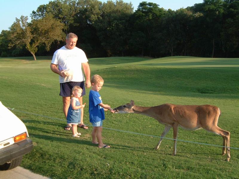 2003/08(Aug)/3(babysitting)/800x600_2003-08-18 19-06-27.JPG